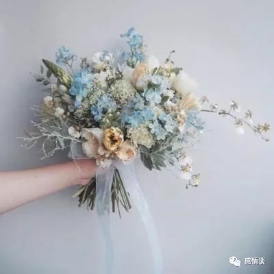 奶块应用宝版下载