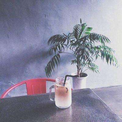 皇室战争谷歌版安装包下载